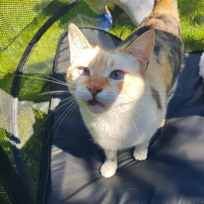 Und die kleine Polly