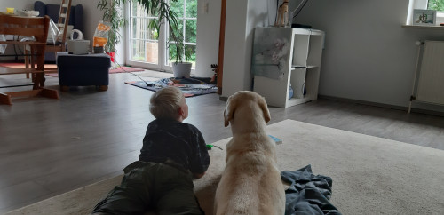 Lütte Knickkieker - Kindertagespflege in Groß Kummerdfeld OT Willingrade